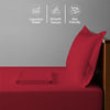 Premium 400 Thread Count 100% Cotton Bed Sheet Set