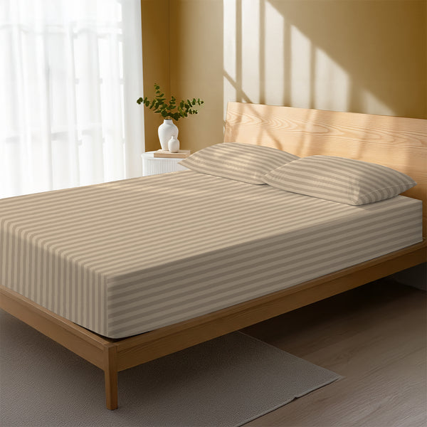 Premium 300 Thread Count 100% Cotton Fitted Sheet