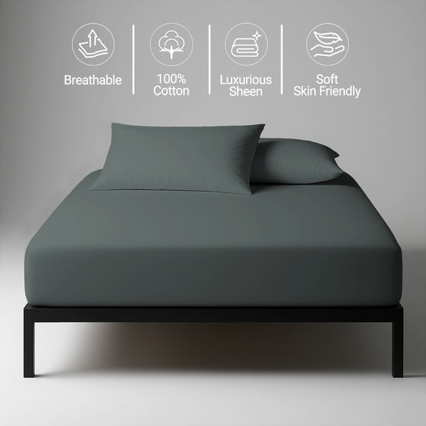 Royale 1000 Thread Count 100% Cotton Fitted Sheet