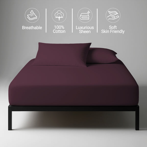 Royale 1000 Thread Count 100% Cotton Fitted Sheet