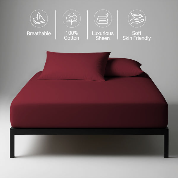 Luxury 800 Thread Count 100% Cotton Fitted Sheet