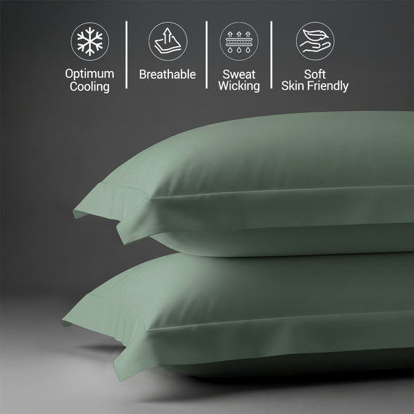Royale 1000 Thread Count 100% Cotton Pillowcases (2PC)