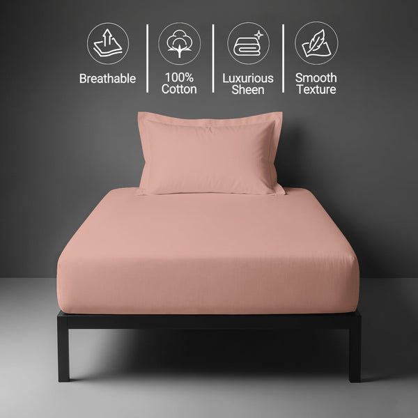 Premium 400 Thread count 100% Cotton Fitted Sheet