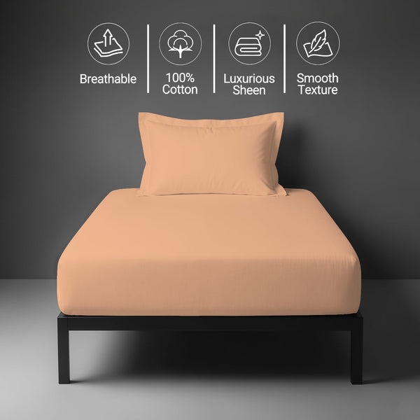 Premium 400 Thread count 100% Cotton Fitted Sheet