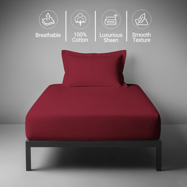 Premium 400 Thread count 100% Cotton Fitted Sheet