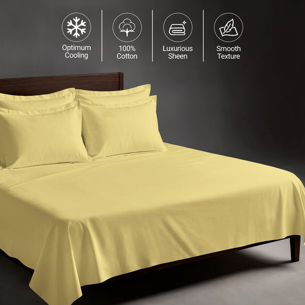 Royale 1000 Thread count 100% Cotton Bed Sheet